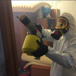 Уничтожение клопов в квартире. Сегежа